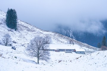 Fototapeta na wymiar beautiful winter view the mountains of Switzerland.