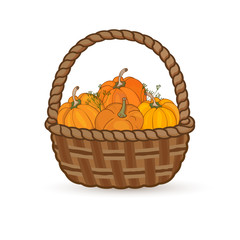 Pumpkin in the wicker picture. Autumn harvest.Isolated vector illustration on white background.