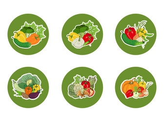 Set of stickers, icons of vegetables on a round green background. Vector