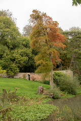 autumn in the park