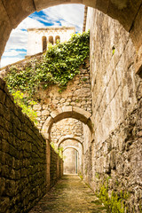 View below the lateral buttresses of the ancient Abbey of San Liberatore a Majella in Abruzzo (Italy)