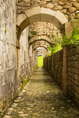 View below the lateral buttresses of the ancient Abbey of San Liberatore a Majella in Abruzzo (Italy)
