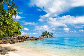 Tropical island beach with palm tree Seychelles