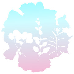 Botanical illustration with herbs, plants, flowers and leaves. Isolated white vector silhouettes on gradient background. Graphic design for background, card, web banner, poster, invitation.