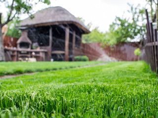 Green grass in the yard. lawn watering works.wooden arbor