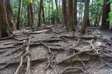 観光地　鞍馬山景色