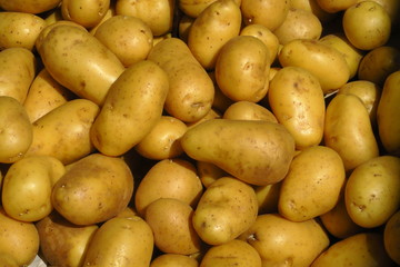 Pommes de terre nouvelles