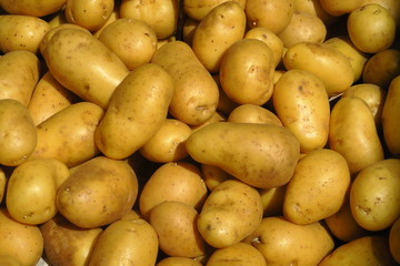 Pommes de terre nouvelles