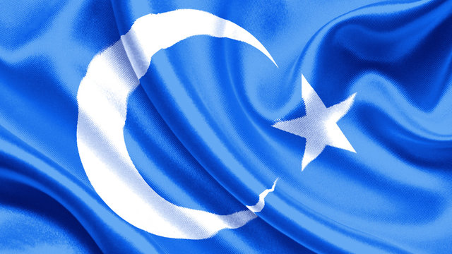 East Turkistan flag 
