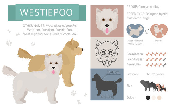 Westiepoo nz cheap