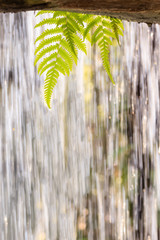 Heavy rain in the tropical rain forest, dotted lines of rain jets in the background