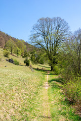 Fototapeta na wymiar Hiking trail in the Altmuehltal valley