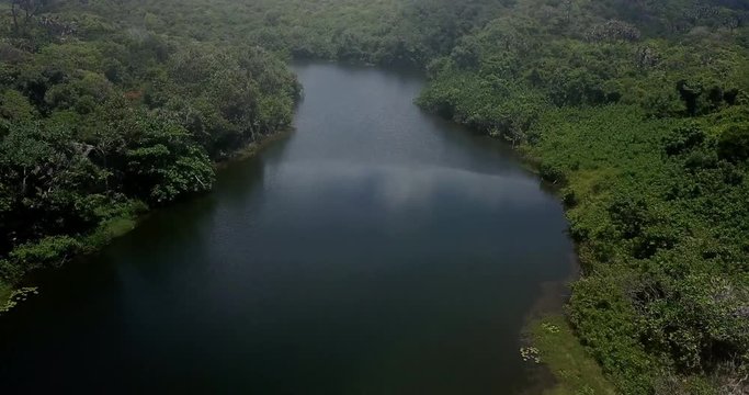 Flying over a freshwater lagoon in a forest.