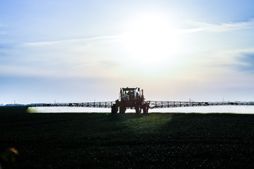 tractor with the help of a sprayer sprays liquid fertilizers on young wheat in the field.