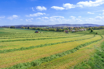 Fototapeta na wymiar Ernte von Grünfutter in ländlicher Landschaft im Frühling