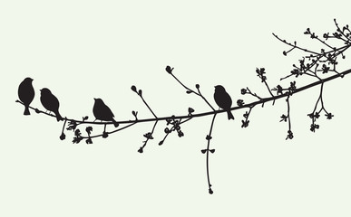 The birds on a tree branch in the spring time - obrazy, fototapety, plakaty