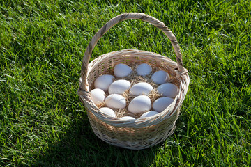eggs in wicker basket