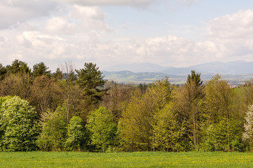 View from Gorce near Rabka Zdroj (Poland)