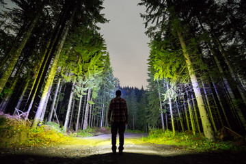 Back view of man with head flashlight standing on forest ground road among tall brightly illuminated spruce trees under beautiful dark blue sky. Night wood landscape and adventure. - obrazy, fototapety, plakaty