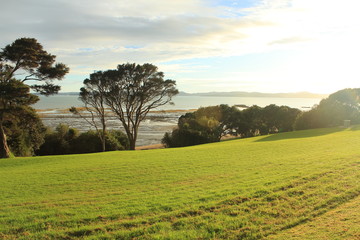 mountain and beach landscape in New Zealand