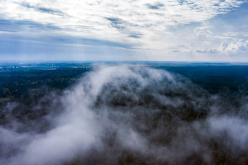 Foggy morning on forest at Baltic sea coast.