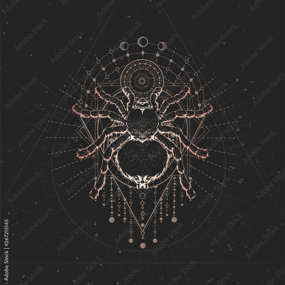 Wall mural vector illustration with hand drawn spider and sacred geometric symbol on black vintage background. 