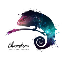 Artistic silhouette of animal chameleon on open space background. © annbozhko
