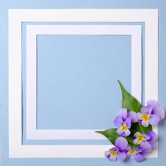 Floral frame with wild flower petals on pastel blue background. Top view, tender minimal flat lay style composition. Invitation, greeting card or an element for your design