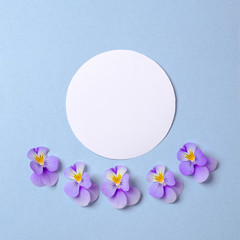 Blank round paper card with wild flower petals on pastel blue background. Top view, tender minimal flat lay style composition. Invitation, greeting card or an element for your design