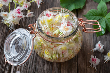 Preparation of herbal tincture from horse chestnut blossoms