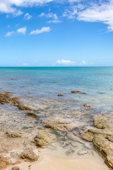 Fototapeta na wymiar A rocky beach on the Caribbean Island of Antigua