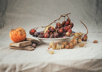 dry grapes draped