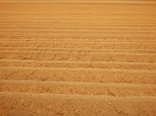 Detail photography of empty field with rows