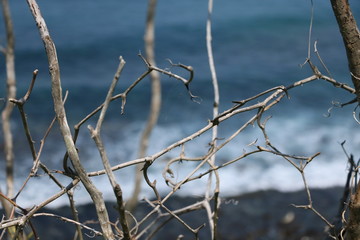 穏やかではない海