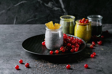 Variety of chia puddings