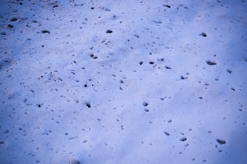 splats of dirt on the white snow near the road texture with vignette. background, seasonal