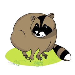 Cute raccoon on green grass, cartoon character raccoon, pet, drawing, color image, vector outline drawing, for children