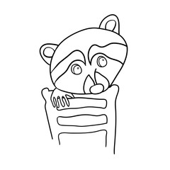 Cute raccoon, cartoon character raccoon, pet, black-and-white drawing, for coloring, vector outline drawing