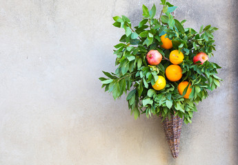 Fototapete bei efototapeten.de bestellen   