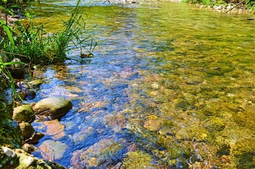 stones visible under the surface of the running water of the stream