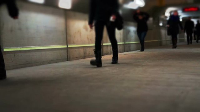 People walk through underground tunnel commuting.Many men and women are walking through an empty concrete subterranean pedestrian tunnel  lines with lights and reflective metal. It is under a GO train