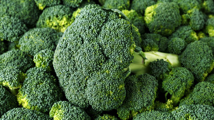 Healthy Fresh Green raw Broccoli. background, texture.