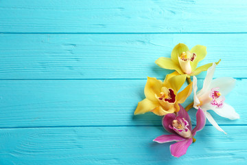 Beautiful tropical orchid flowers on blue wooden background, flat lay. Space for text