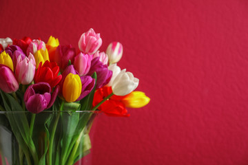 Vase with beautiful spring tulip flowers on color background. Space for text