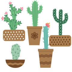 Cactus flower in pots for flowers and plants. Bright cacti, aloe leaves, exotic cacti plants juicy summer desert tropical flora cartoon, Botanical vector collection