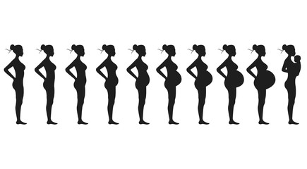 Stages of pregnancy of the woman. A profile full growth it is isolated on a white background.Changes in a woman's body in pregnancy. © Ксения Омельченко