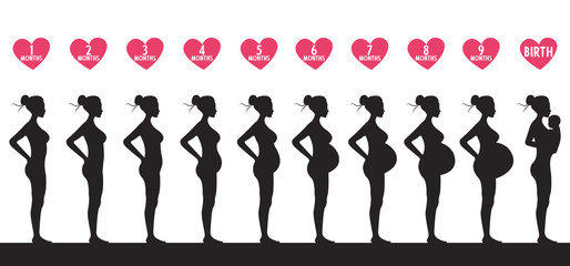 Stages of pregnancy of the woman. A profile full growth it is isolated on a white background.Changes in a woman's body in pregnancy.