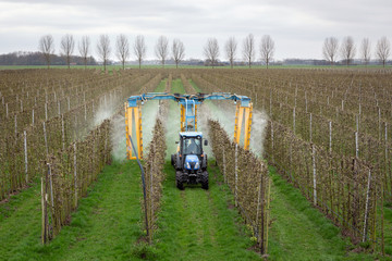 ASPEREN, THE NETHERLANDS - March 31, 2019: Modern orchard sprayer spraying insecticide or fungicide on his apple trees.