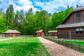 wooden houses in green forest. rural scene