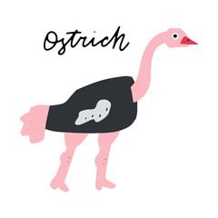 Africa Animals Vector